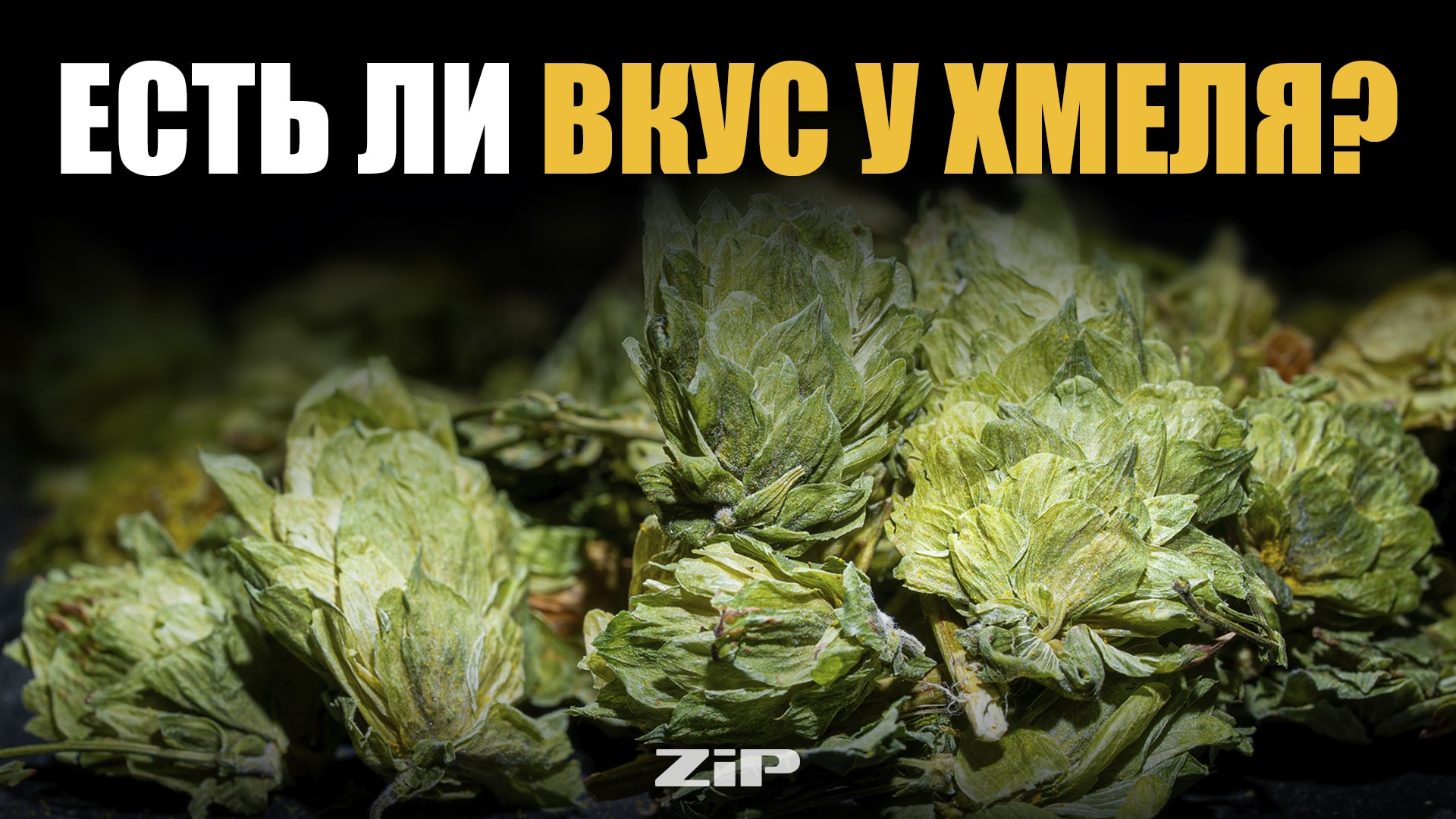 Есть ли вкус у хмеля?