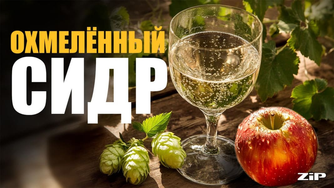 Охмеленный сидр: влияние хмеля на вкус и аромат