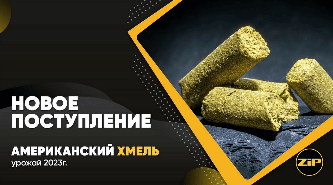 Американский хмель урожая 2023 года