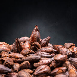 Жженый солод 400-600 EBC