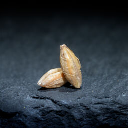 Меланоидиновый 60-80 EBC