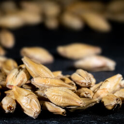 Солод Декстрин 3,5 EBC