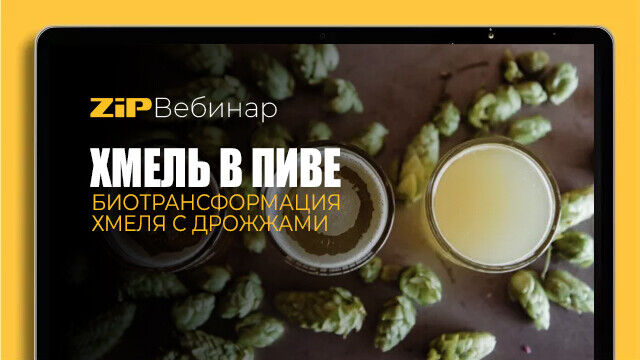 ХМЕЛЬ В ПИВЕ - БИОТРАНСФОРМАЦИЯ ХМЕЛЯ С ДРОЖЖАМИ