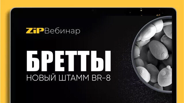 Дрожжи Бреттаномицес (Бретты) - Штамм BR-8