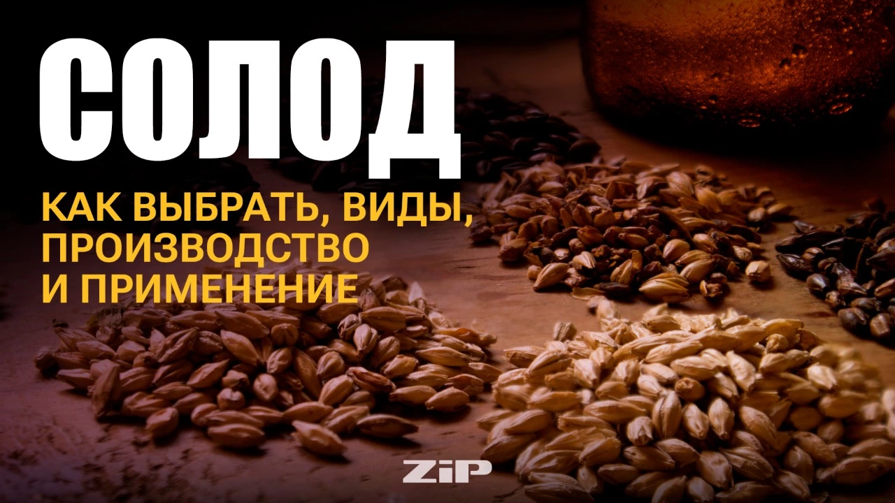 Солод: как выбрать, виды, производство и применение.