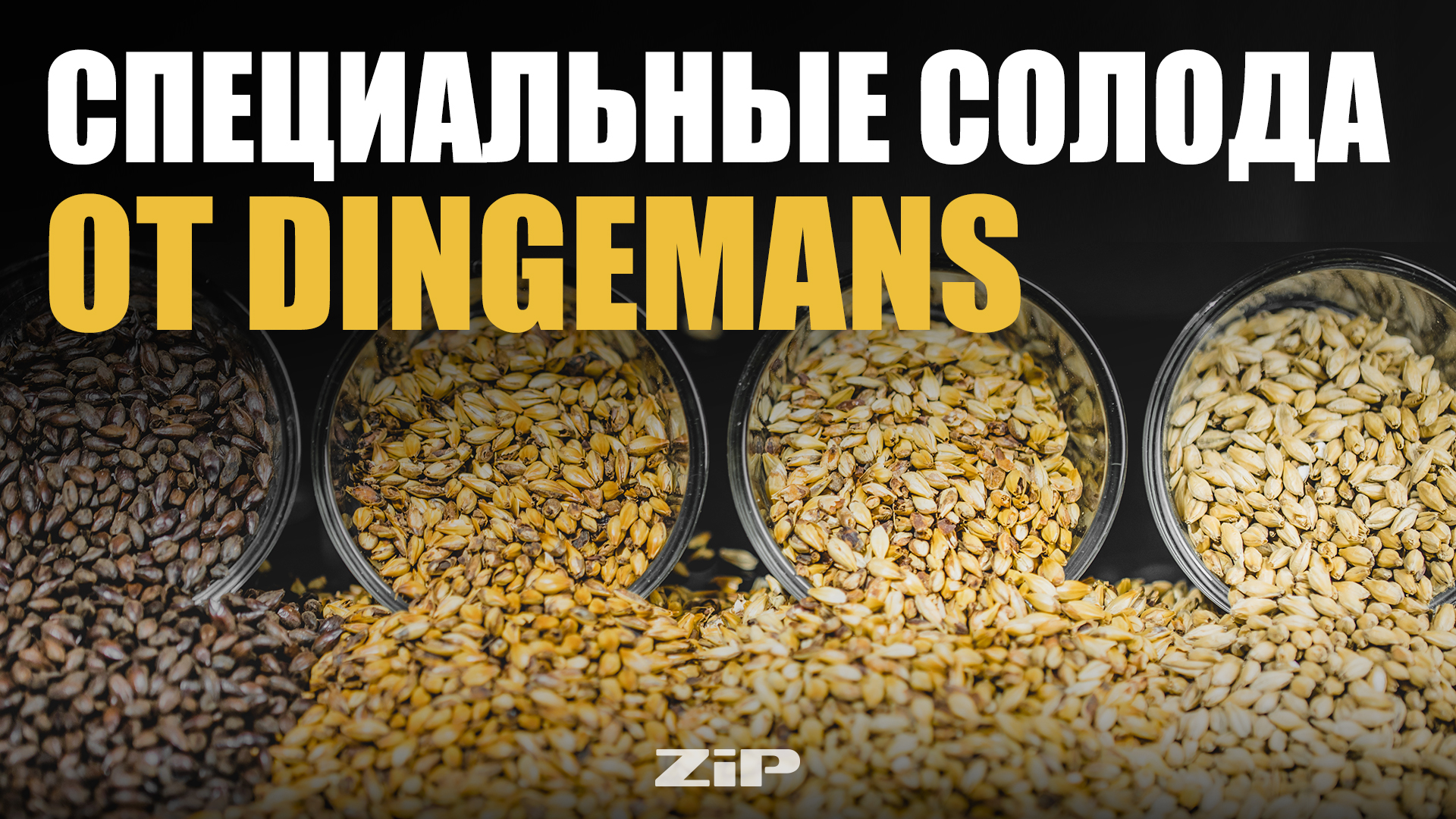 Специальные солода Dingemans