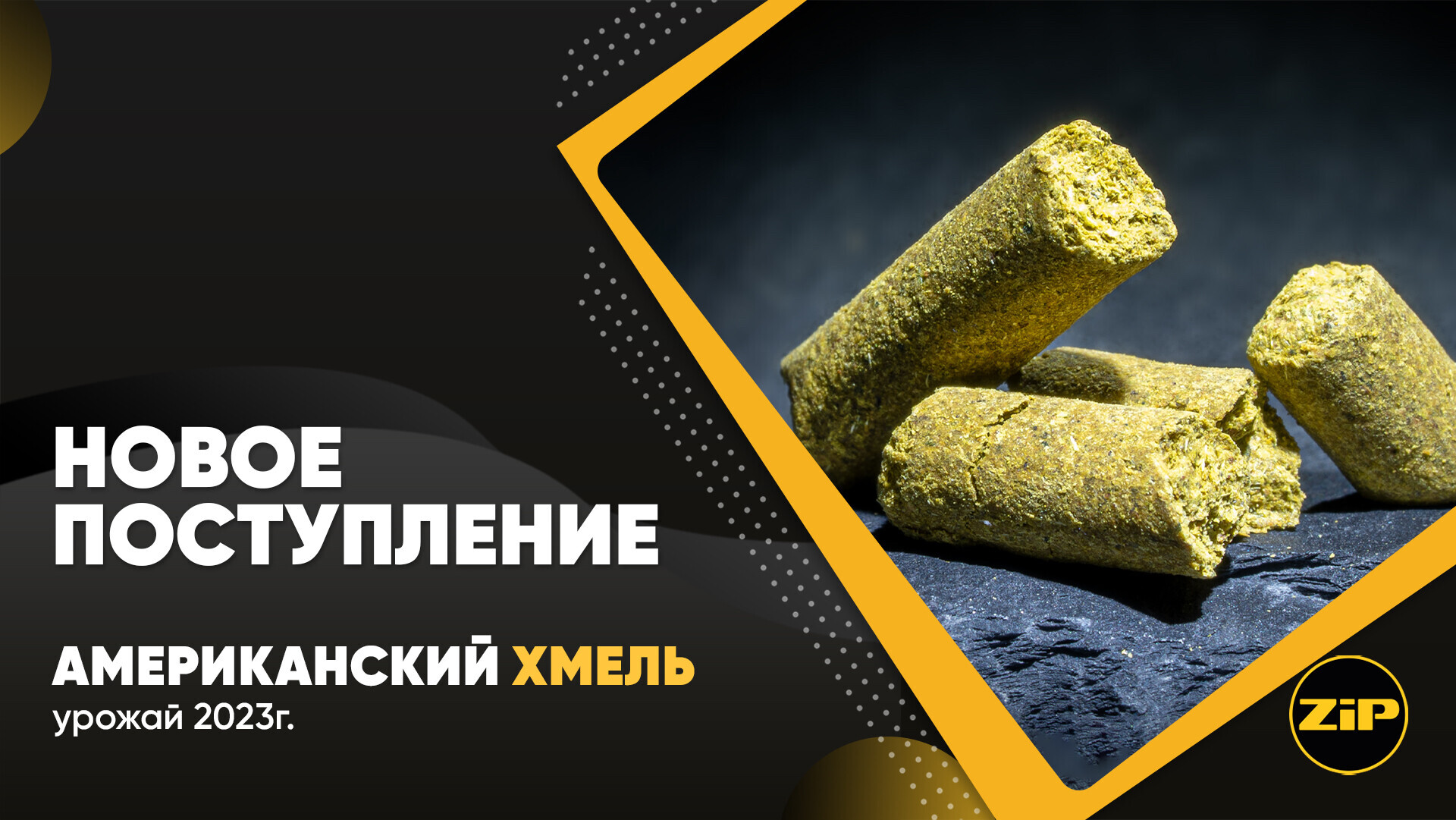Американский хмель урожая 2023 года